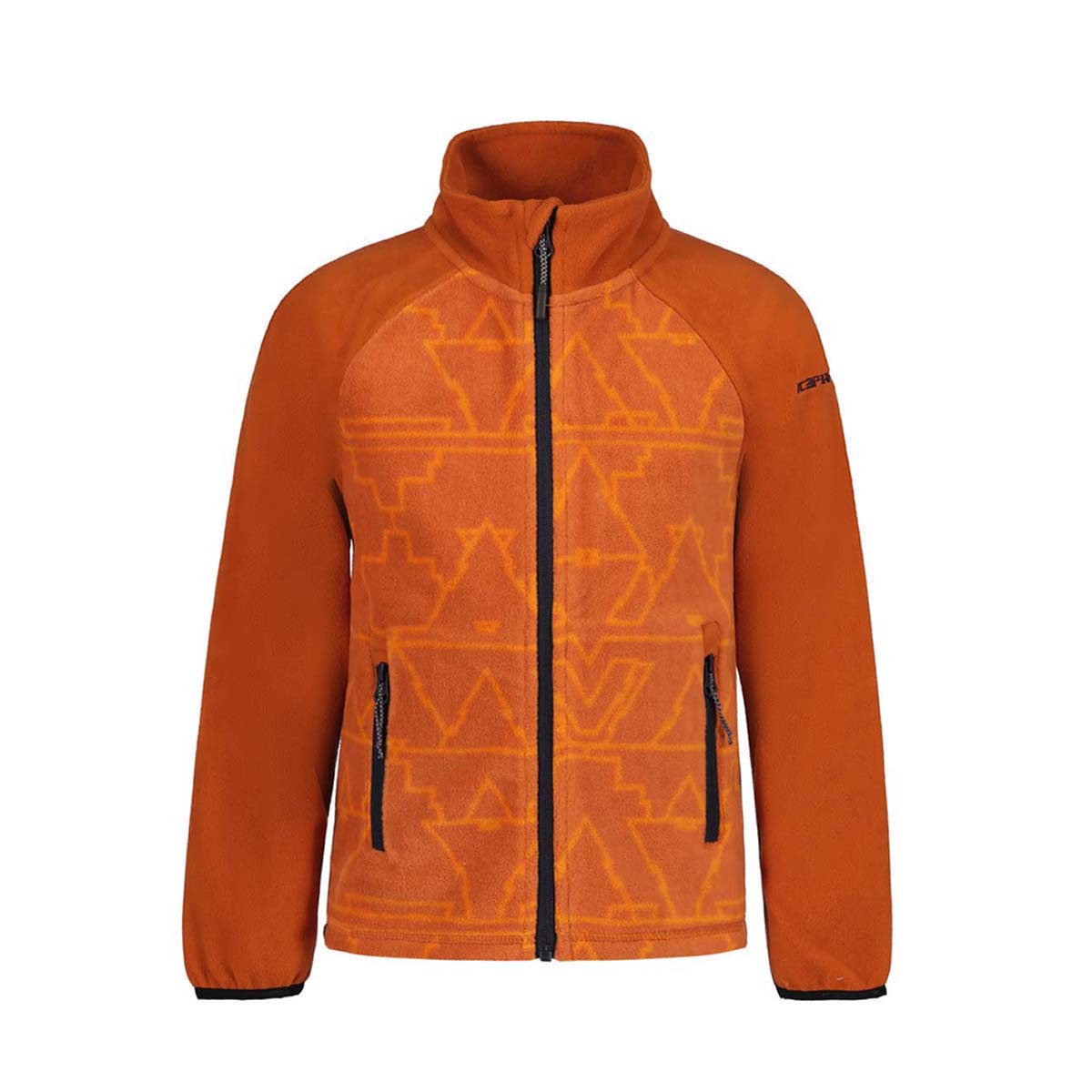 DUKS ICEPEAK LEISNIG JR BG 