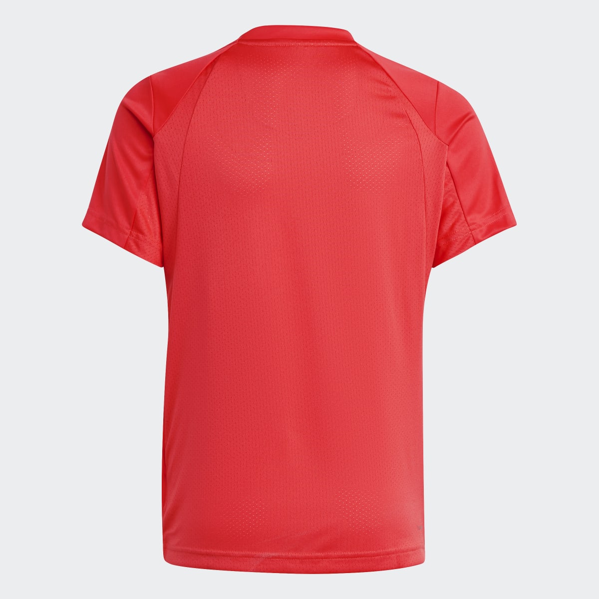 MAJICA ADIDAS B CLUB TEE BG 