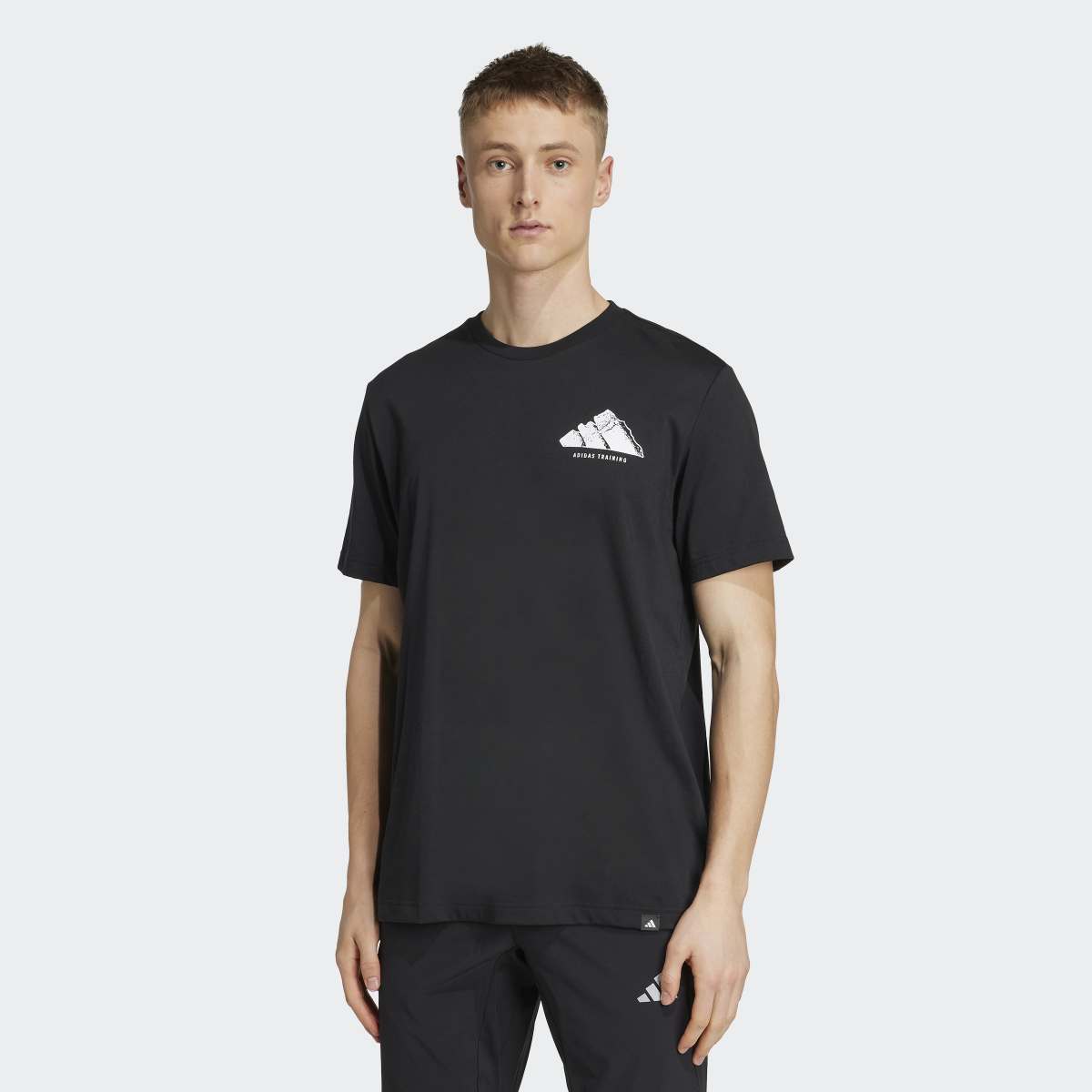 MAJICA ADIDAS M VNTG G T M