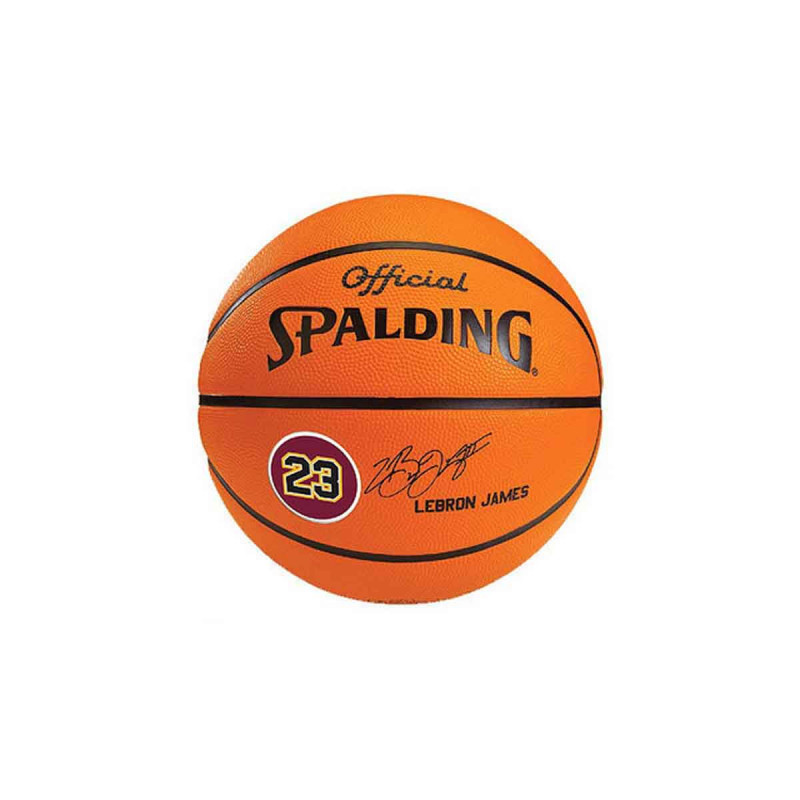 spalding lebron james