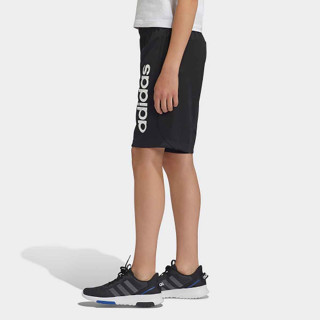 SORC ADIDAS YB TR LIN KN SH BG 