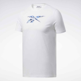 MAJICA REEBOK TS COTTON GRAPHIC TEE Q2 