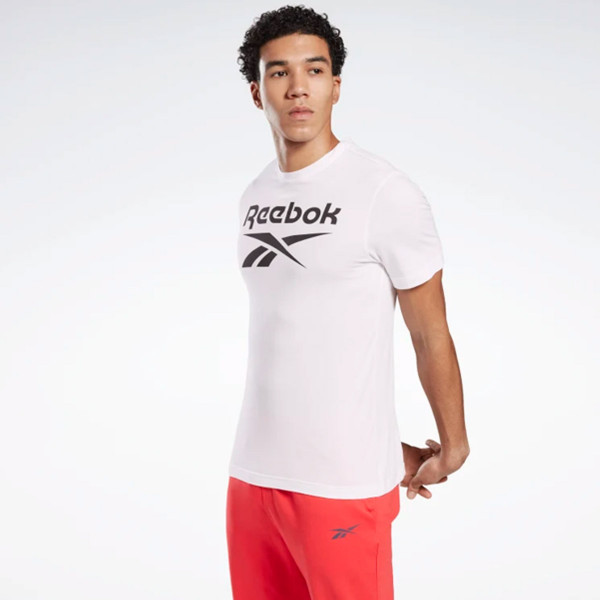MAJICA REEBOK BIG LOGO TEE M 