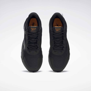 PATIKE REEBOK RIDGERIDER 5 GTX M 