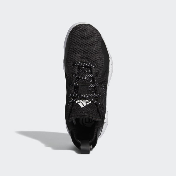 PATIKE ADIDAS D ROSE 773 2020 J BG 