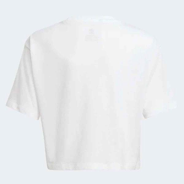 MAJICA ADIDAS CROP TEE GP 