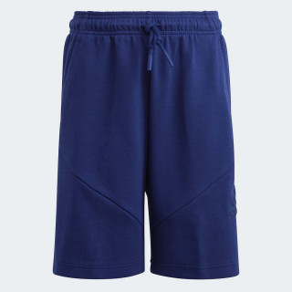 SORC ADIDAS U FI LOGO SH BG 