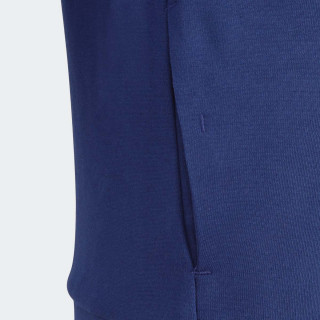 DUKS ADIDAS U FI 3S FZ HD BG 