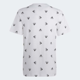 MAJICA ADIDAS U BLUV TEE Q1 BG 