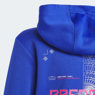 DUKS ADIDAS U PRED FZHD BG 