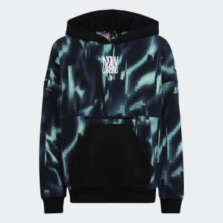 DUKS ADIDAS U ARKD3 HOODIE BG 