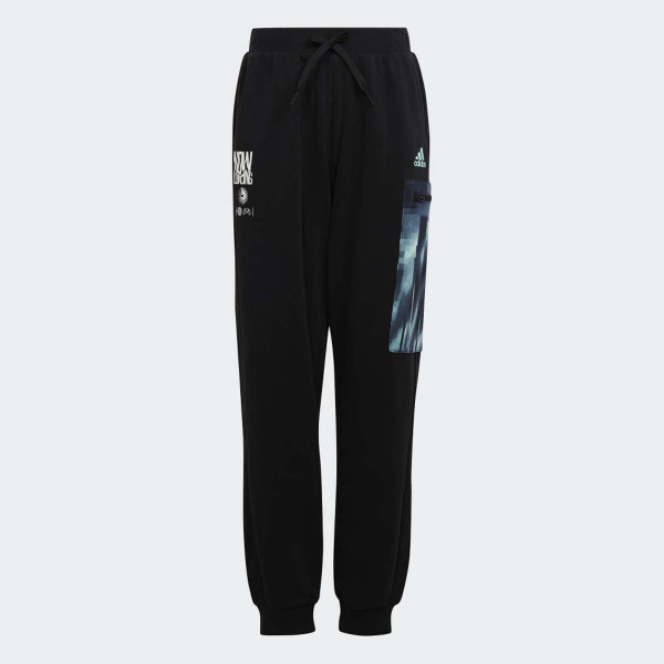 D.DEO ADIDAS U ARKD3 PANT BPG 