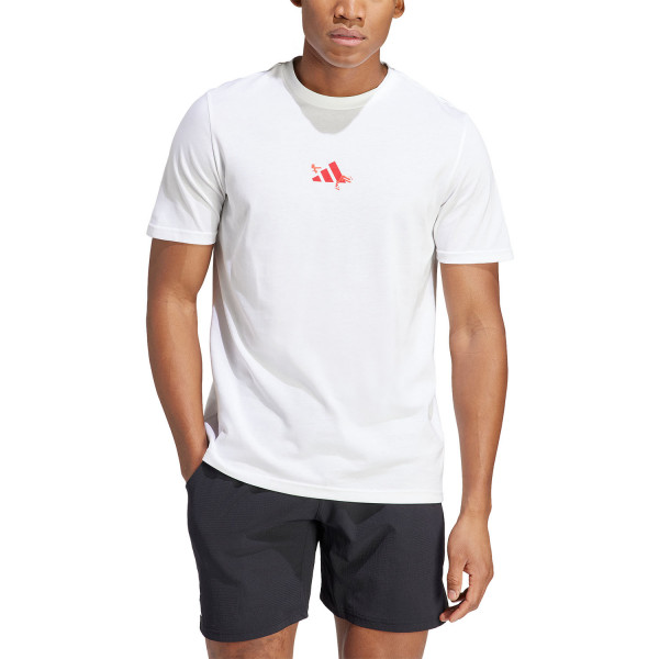 MAJICA ADIDAS M TNS RG G T M 