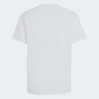 MAJICA ADIDAS U AKD GT BPG 