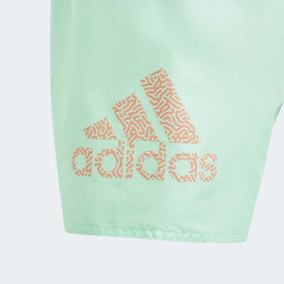 SORC ADIDAS BOS CLX SL BG 