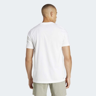 MAJICA ADIDAS M TNS AO G T M 