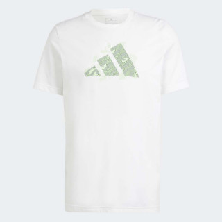 MAJICA ADIDAS M TNS AO G T M 