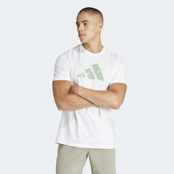 MAJICA ADIDAS M TNS AO G T M 