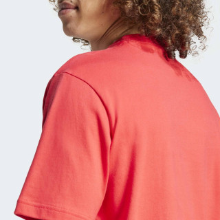 MAJICA ADIDAS M CE TEE GD M 