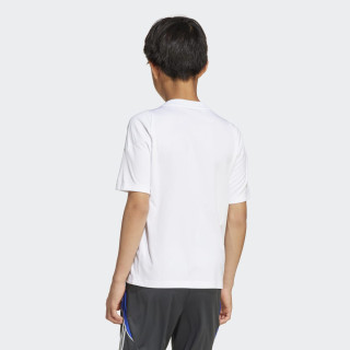 DRES ADIDAS MESSI TR JSY Y BG 