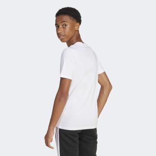 MAJICA ADIDAS J C PHOTO TEE BG 