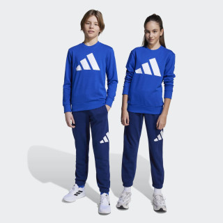 TRENERKA ADIDAS J BL FT JOG 240 BG 