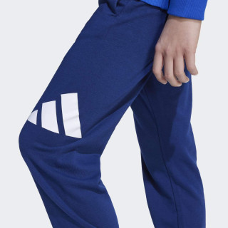 TRENERKA ADIDAS J BL FT JOG 240 BG 