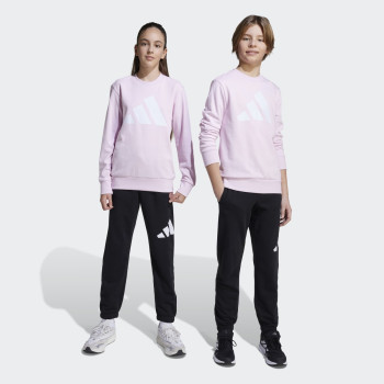 TRENERKA ADIDAS J BL FT JOG 240 GG 